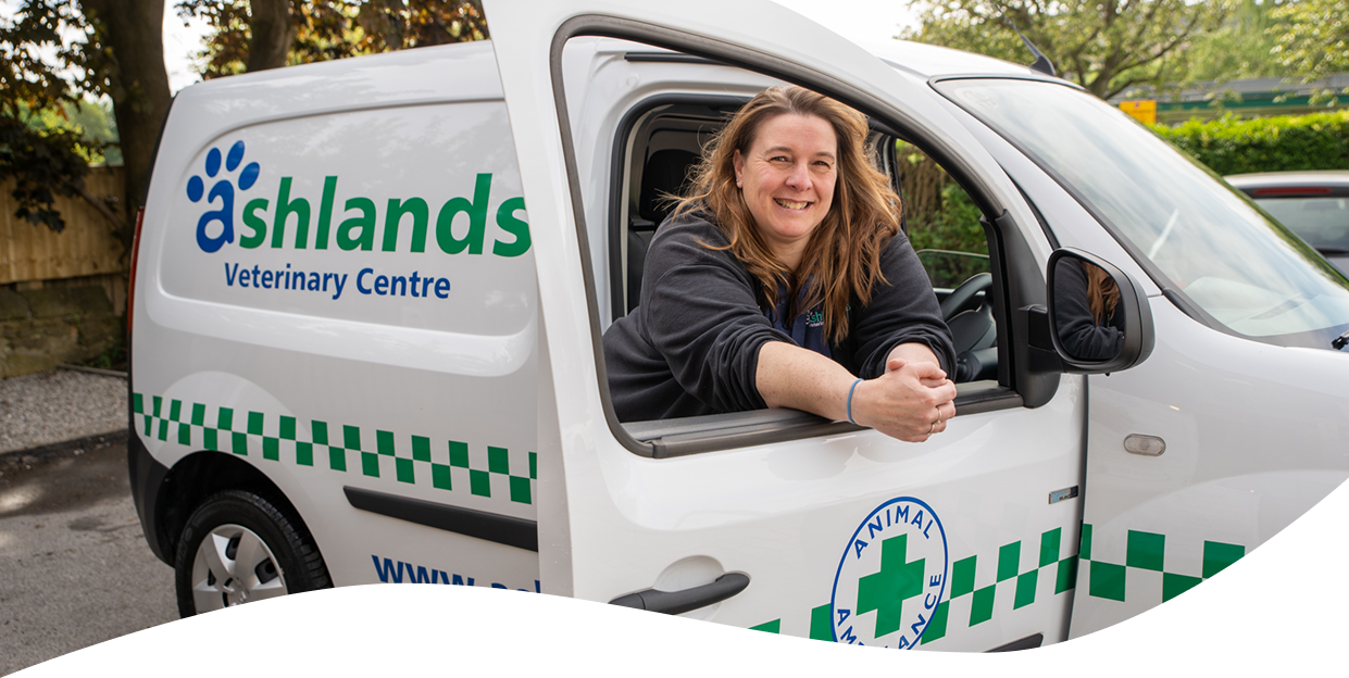 A white van with the Ashlands Vets logo on the side, and 'animal ambulance' written on the door. The door is open, and a member of the Ashlands Vets team is leaning in the open window, wearing a black jumper and looking at the viewer.